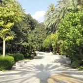 Parque Municipal de Elche Parque Municipal de Elche
