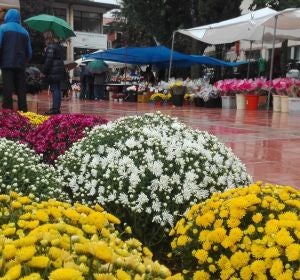 todos los santos cuenca todos los santos cuenca