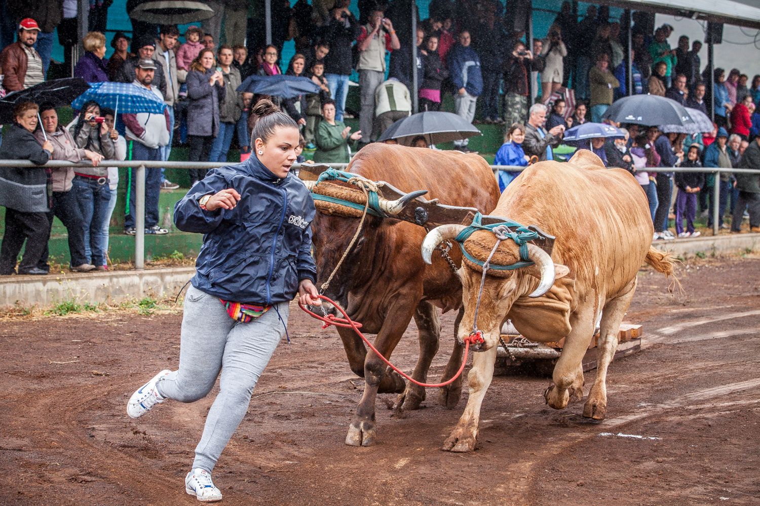 Canarias En La Onda Viernes 02/11/2018 Canarias En La Onda Viernes 02/11/2018