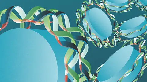 Desvelado el origen de la misteriosa periodicidad del genoma Desvelado el origen de la misteriosa periodicidad del genoma