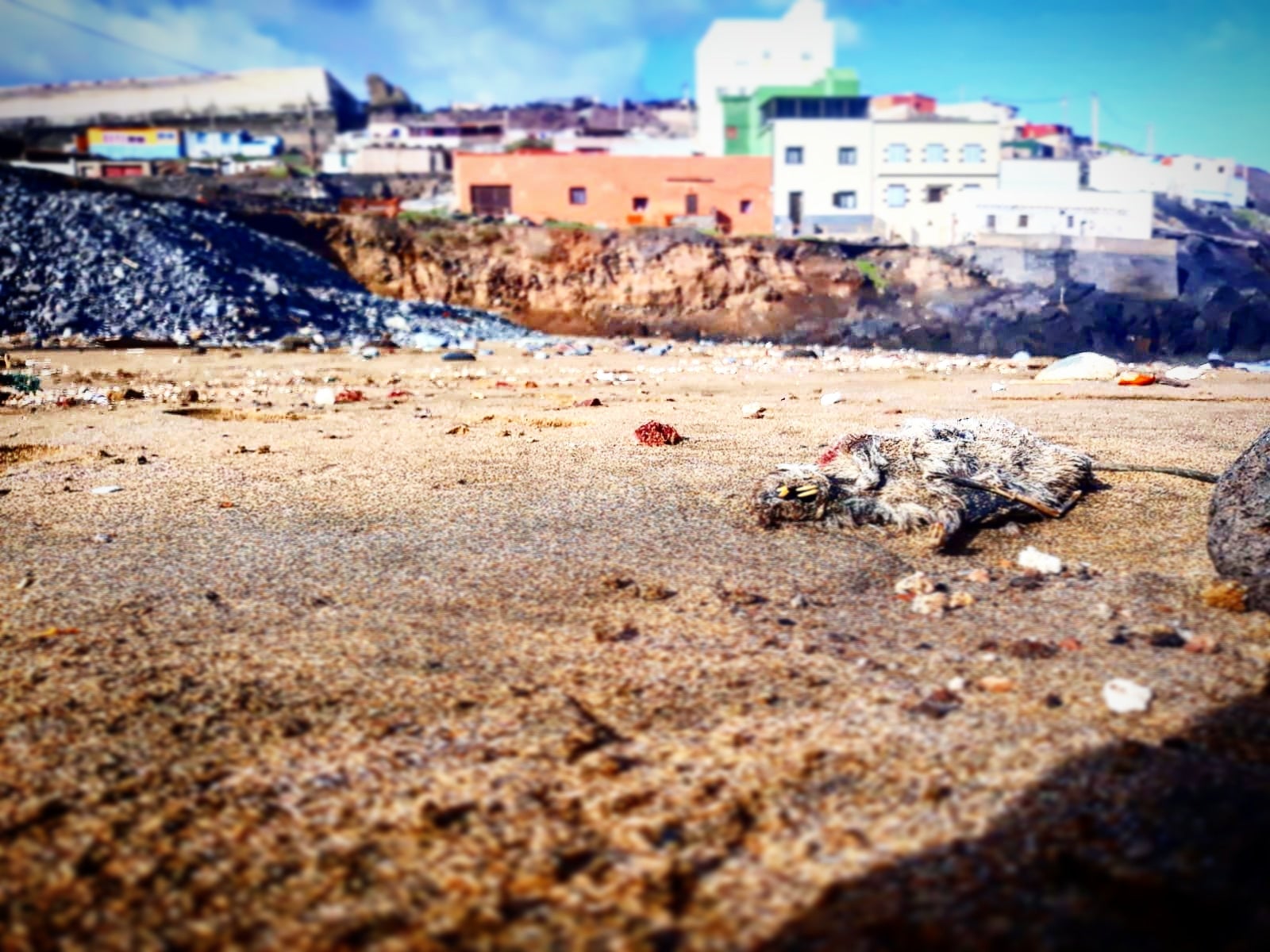 Vecinos denuncian vertidos en Bocabarranco y se unen para limpiar la playa Vecinos denuncian vertidos en Bocabarranco y se unen para limpiar la playa