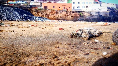 Playa de Bocabarranco, Galdar, Gran Canaria