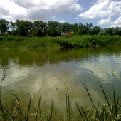 Río_Tajo_a_su_paso_por_Talavera Río_Tajo_a_su_paso_por_Talavera
