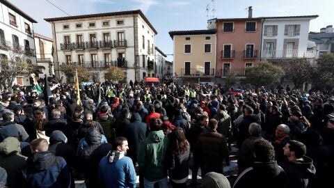 Manifestaci&oacute;n que en Alsasua en contra de la plataforma 'Espa&ntilde;a Ciudadana'