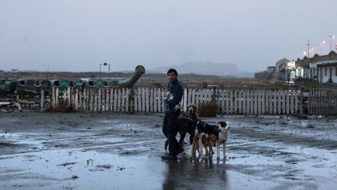 Dogman 