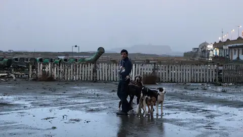 Dogman Dogman