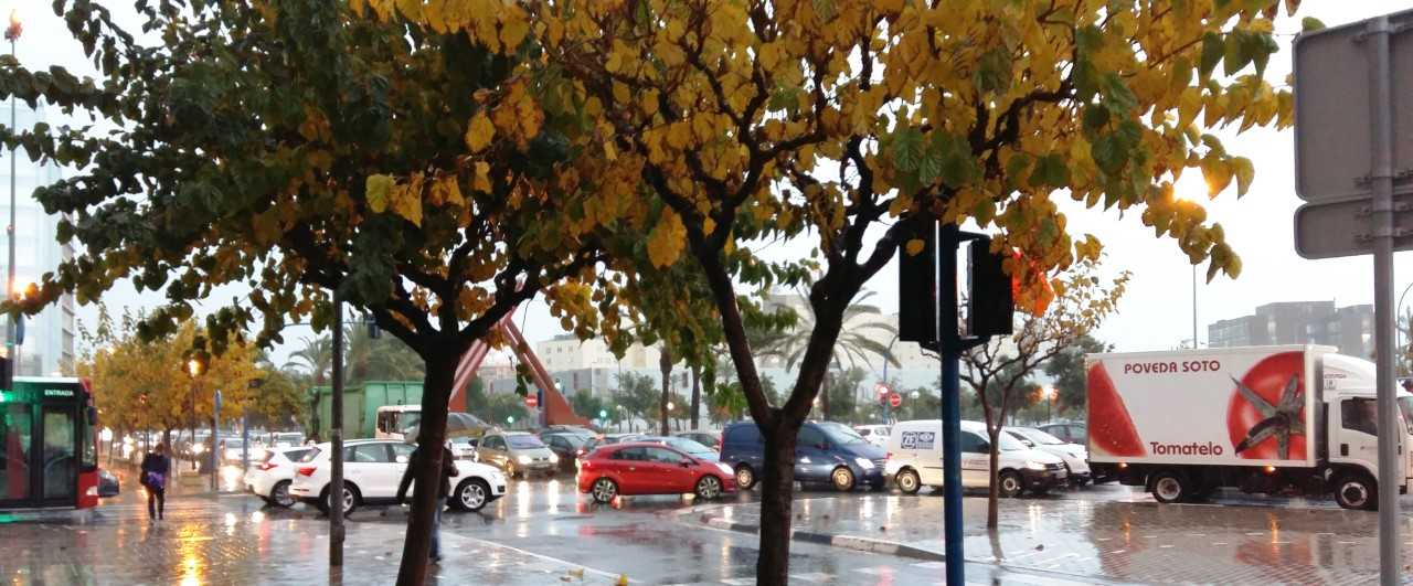 La lluvia deja en Alicante 30 litros por metro cuadrado en tres horas La lluvia deja en Alicante 30 litros por metro cuadrado en tres horas
