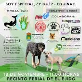 MASCO