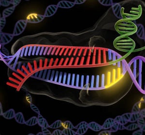 Del deseo a la realidad la edicion genetica aun no esta preparada para tratar a pacientes Del deseo a la realidad la edicion genetica aun no esta preparada para tratar a pacientes