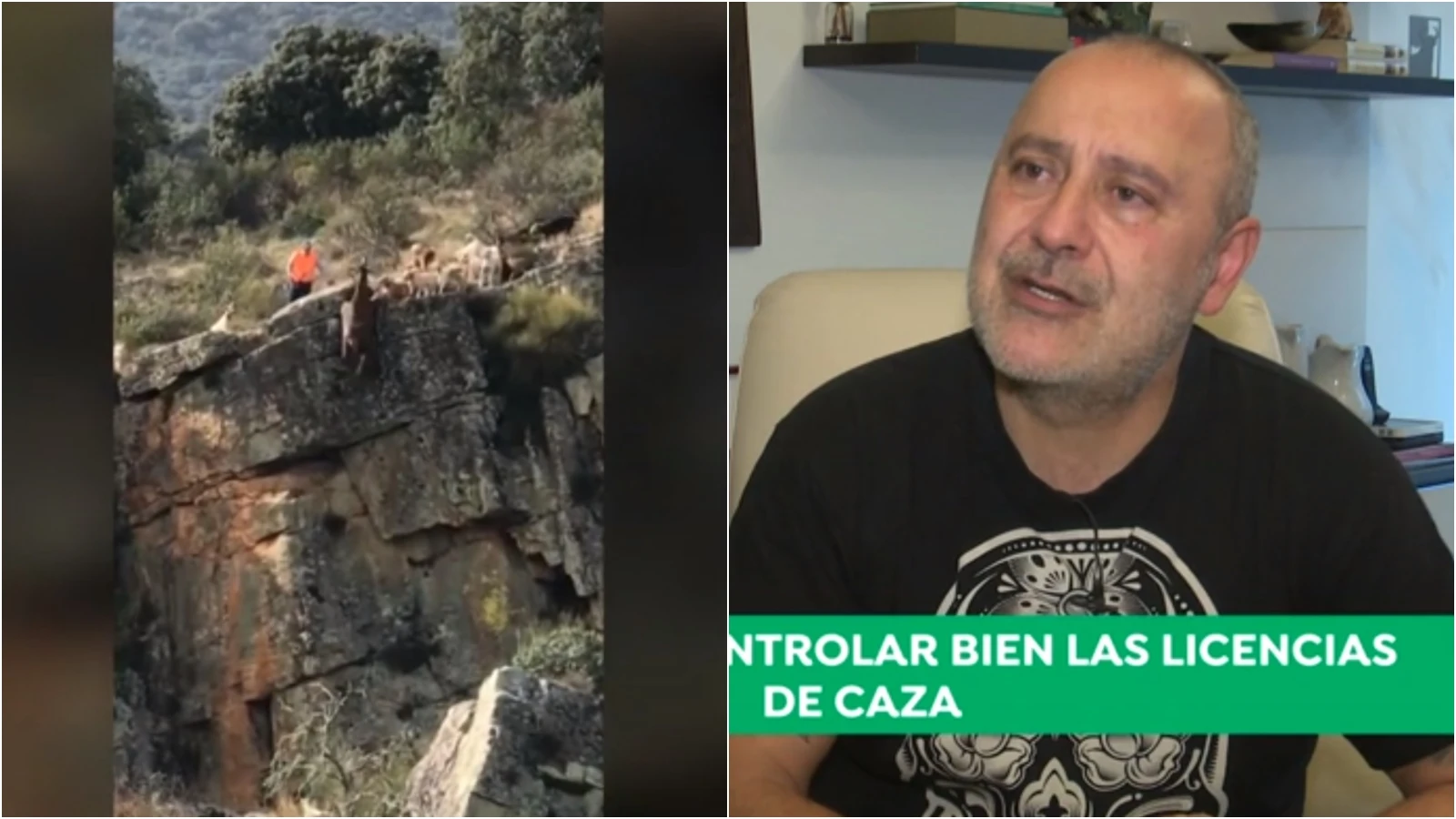 Carlos Rodríguez analiza el vídeo de los perros despeñándose