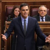  Pedro Sánchez en el Congreso