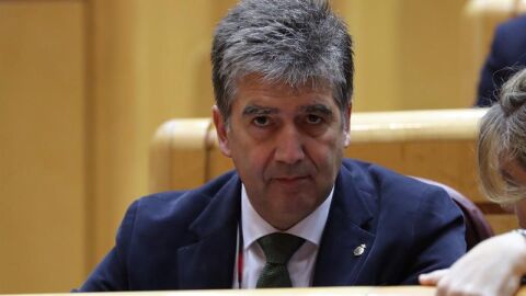 El portavoz del Grupo Popular en el Senado, Ignacio Cosid&oacute;