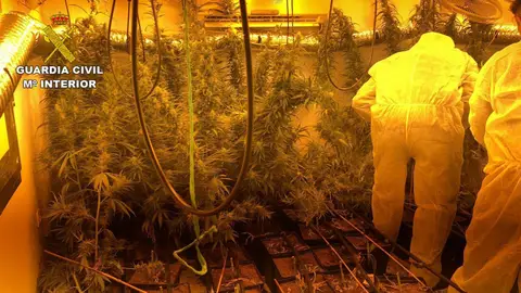 Guardia Civil desmantela laboratorio Detienen individuo de Armilla