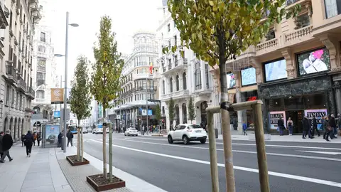 Árboles en la nueva Gran Vía de Madrid Árboles en la nueva Gran Vía de Madrid