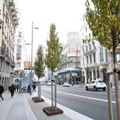 Árboles en la nueva Gran Vía de Madrid