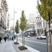 Árboles en la nueva Gran Vía de Madrid Árboles en la nueva Gran Vía de Madrid