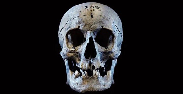 Premoniciones de muerte Premoniciones de muerte