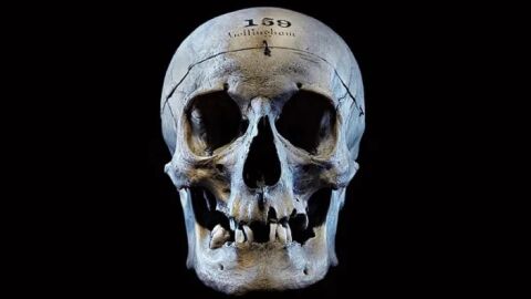 Calavera de John Bellingham