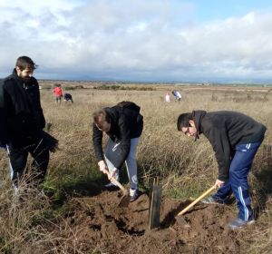 Un grupo de voluntarios plantando árboles en las Tablas de Daimiel Un grupo de voluntarios plantando árboles en las Tablas de Daimiel