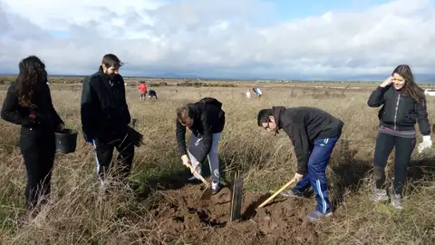 Un grupo de voluntarios plantando árboles en las Tablas de Daimiel Un grupo de voluntarios plantando árboles en las Tablas de Daimiel