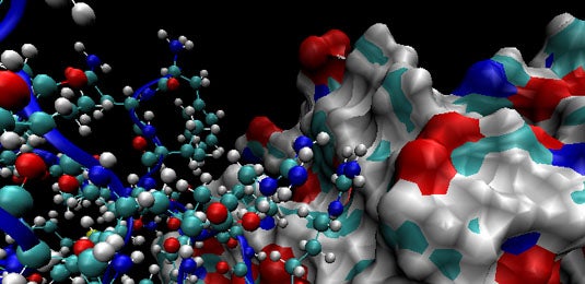 Mesa de redacción: El gen de Matusalén arrasa en redes Mesa de redacción: El gen de Matusalén arrasa en redes