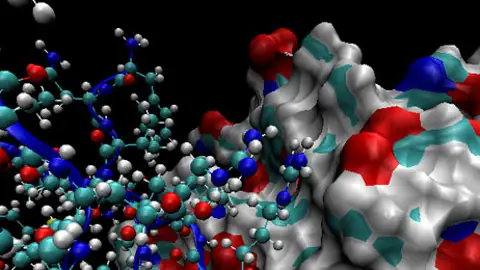 Imagen de archivo de genes Imagen de archivo de genes