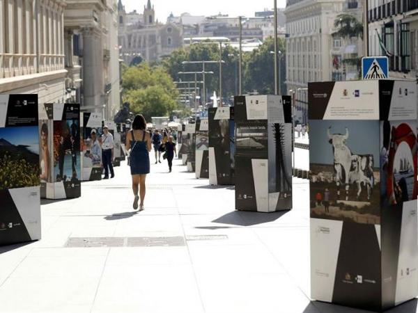 C.Real acoge mañana la exposición "40 años de España en Democracia" C.Real acoge mañana la exposición "40 años de España en Democracia"