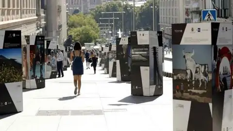 La exposición ya se pudo ver en Madrid La exposición ya se pudo ver en Madrid