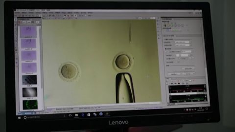 Un investigador chino asegura que ha creado los primeros beb&eacute;s modificados gen&eacute;ticamente