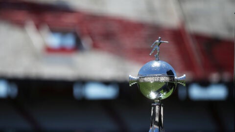 Detalle de la Copa Libertadores
