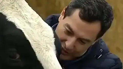 La surrealista conversación de Juanma Moreno con una vaca en plena campaña electoral La surrealista conversación de Juanma Moreno con una vaca en plena campaña electoral