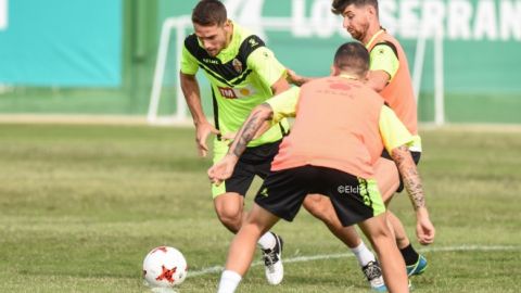 ELCHE CF