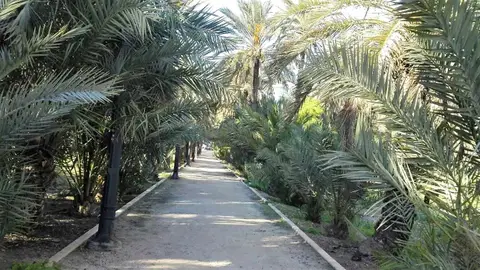 Parque en Elche Parque en Elche