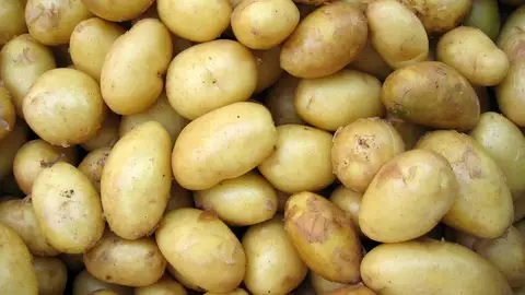 Patatas recolectadas en la Comunidad patatas