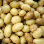 Patatas recolectadas en la Comunidad Patatas recolectadas en la Comunidad