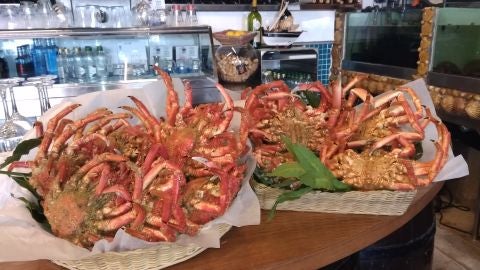 gastronomia en la onda 