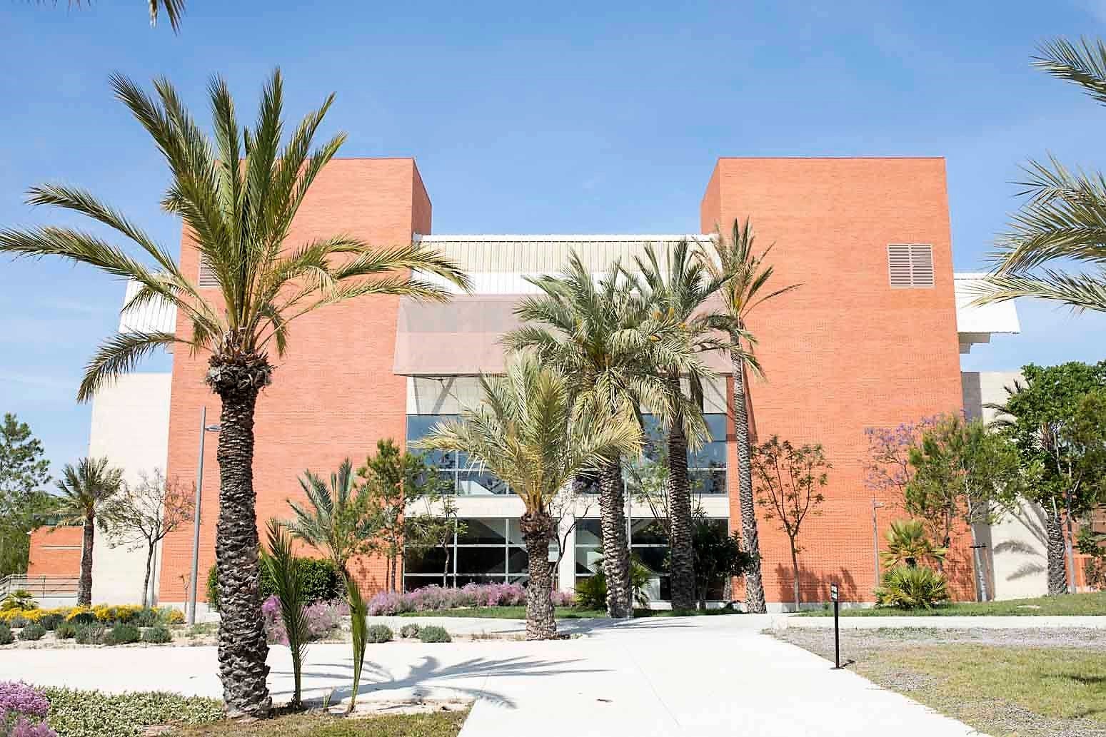 El consumo de alcohol y cannabis, protagonistas en las II Jornadas INID-Socidrogaalcohol de la UMH El consumo de alcohol y cannabis, protagonistas en las II Jornadas INID-Socidrogaalcohol de la UMH