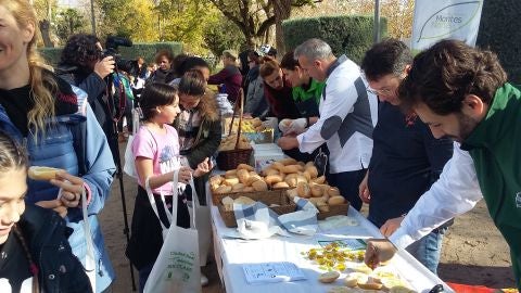 Ciudad Real ha celebrado el Dia Internacional de la Ciudad Educadora