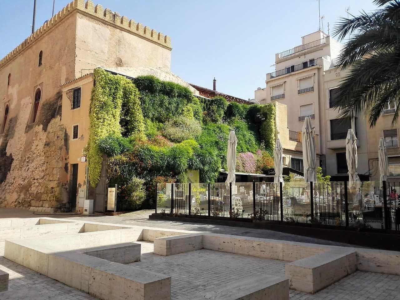 El mes de diciembre entra en Elche, Crevillent y Santa Pola con sol y ascenso de temperaturas El mes de diciembre entra en Elche, Crevillent y Santa Pola con sol y ascenso de temperaturas