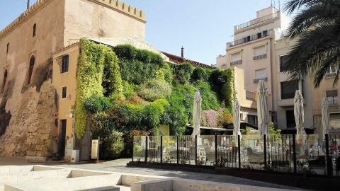 Plaza Santa Isabel de Elche