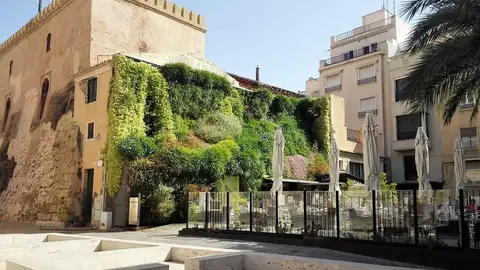 Plaza Santa Isabel de Elche Plaza Santa Isabel de Elche