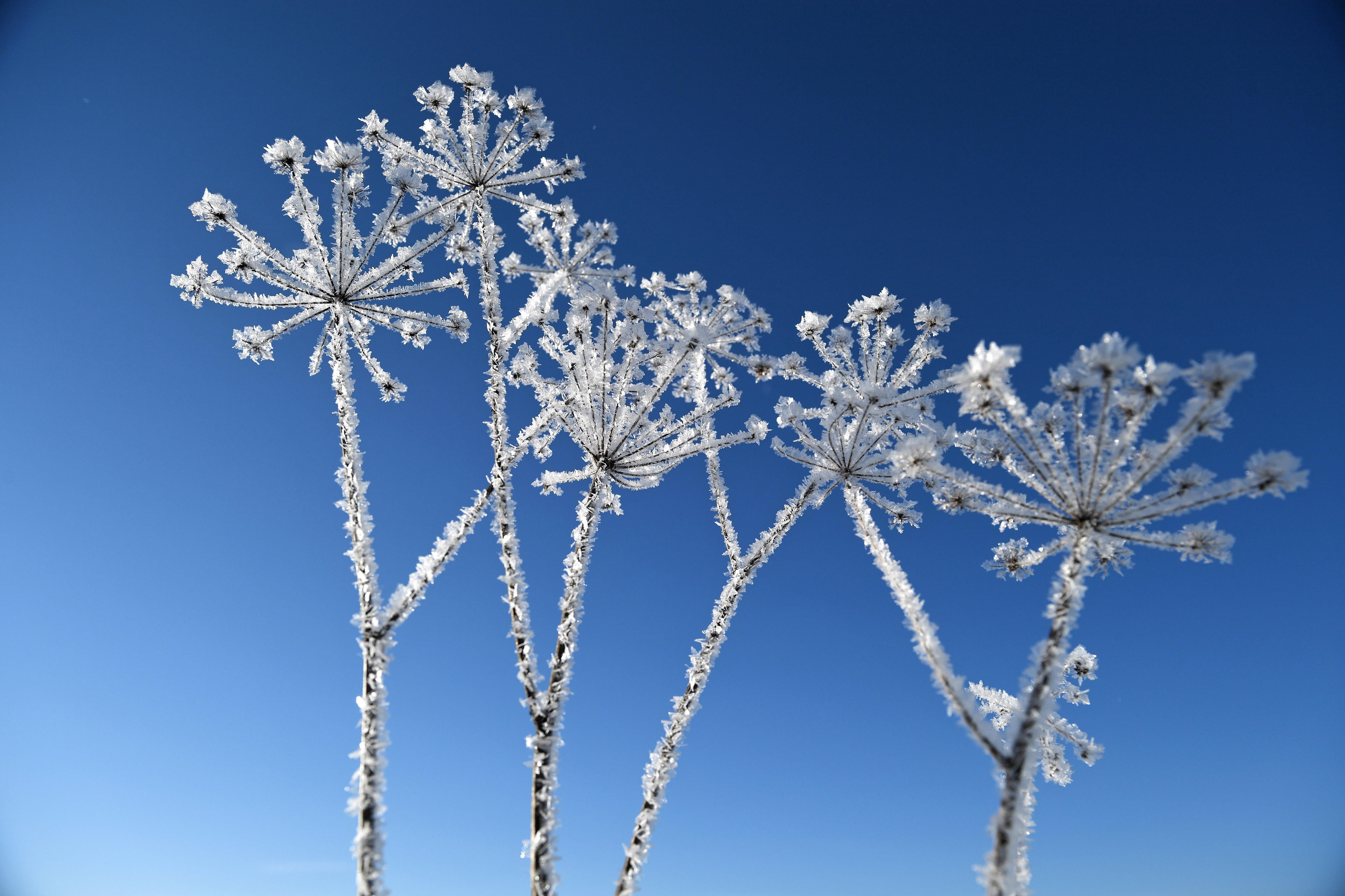 Este viernes arranca el invierno astronómico que durará 88 días hasta el 20 de marzo del 2024 en donde llegará la primavera Este viernes arranca el invierno astronómico que durará 88 días hasta el 20 de marzo del 2024 en donde llegará la primavera
