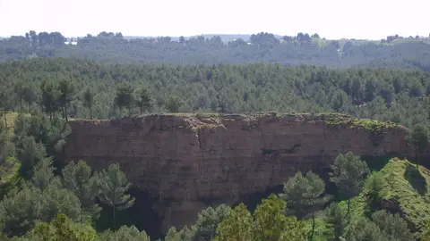 Cerros de Alcalá de Henares Reforestación del monte