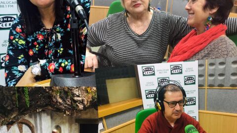 Hoy hablamos de la exposici&oacute;n &ldquo;Cada loca with su tema&rdquo; con Amalia Quir&oacute;s y Nani Tamayo. Visitamos la muestra &ldquo;Noche de paz&rdquo; y recordamos la pel&iacute;cula &ldquo;Cinema Paradiso&rdquo; con Jos&eacute; Carlos Fern&aacute;ndez. En &ldquo;C&aacute;diz en la Onda&rdquo; con Carmen Pa&uacute;l.
