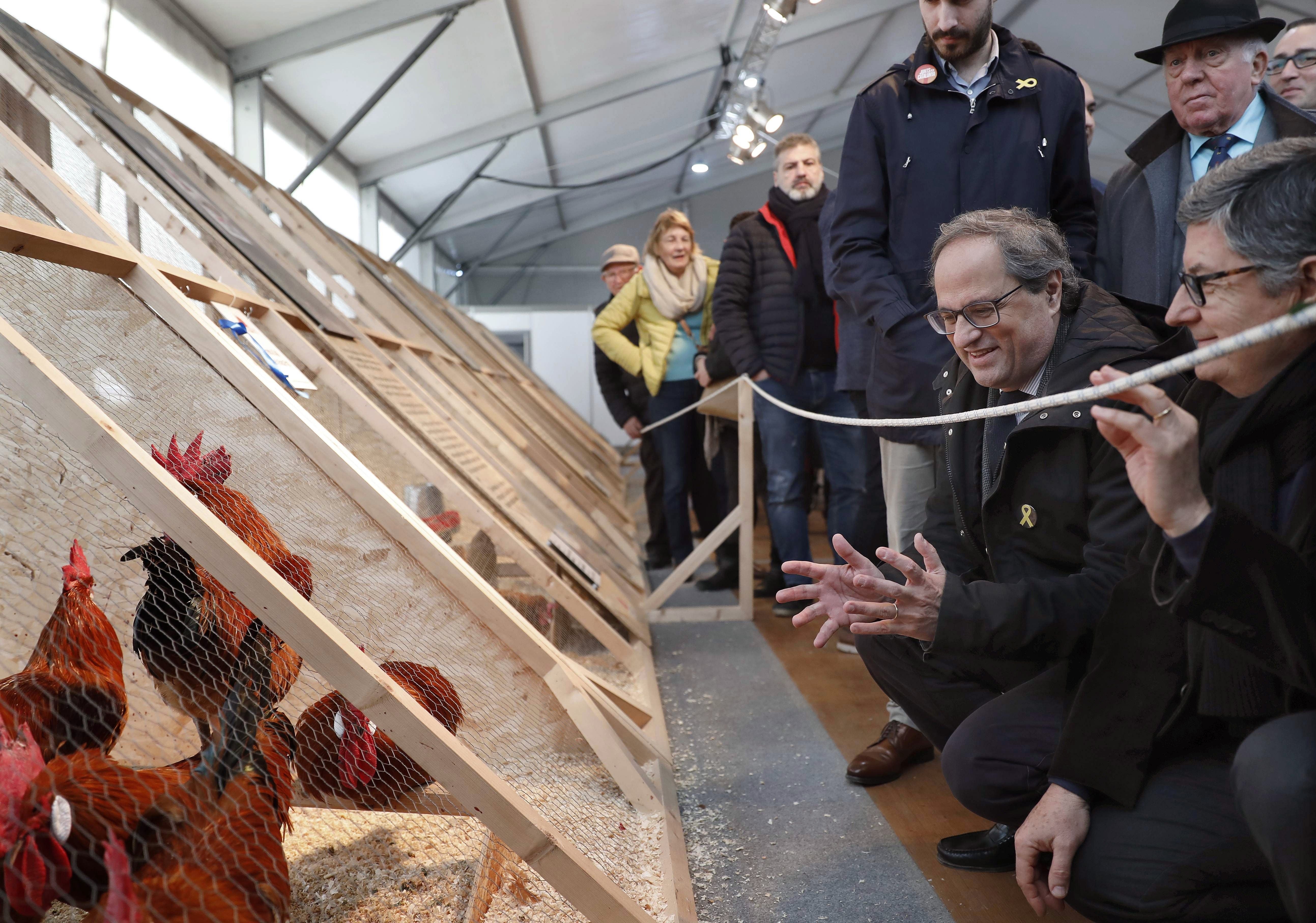 Torra apela al diálogo y asegura que "todos estamos condenados a entendernos" Torra apela al diálogo y asegura que "todos estamos condenados a entendernos"