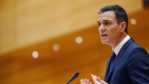 El presidente del Gobierno, Pedro S&aacute;nchez, en el Senado