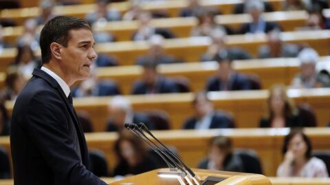 El presidente del Gobierno, Pedro S&aacute;nchez, en el Senado