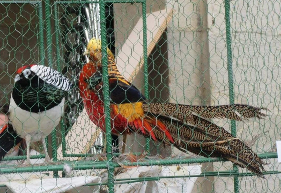 Álava en la onda 20/12/2018 Álava en la onda 20/12/2018