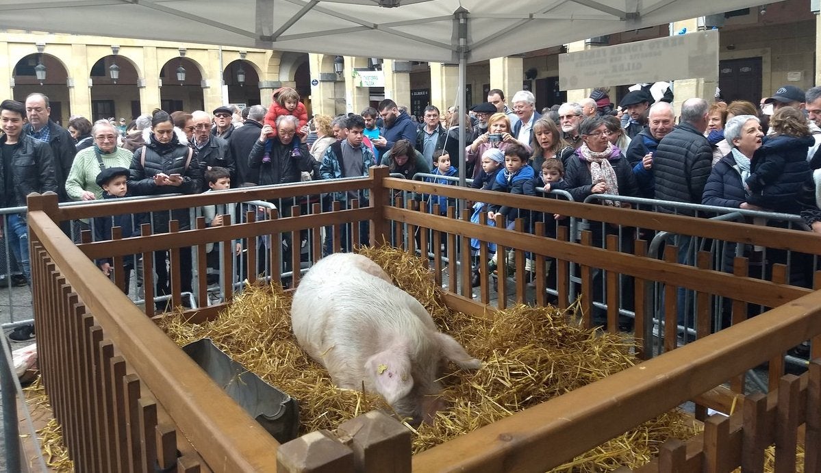 Gipuzkoa en la Onda 21/12/2018 Gipuzkoa en la Onda 21/12/2018