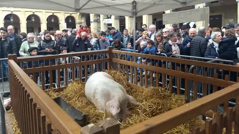 Gilda es la atracción del día de Santo Tomas 2018 Gilda es la atracción del día de Santo Tomas 2018